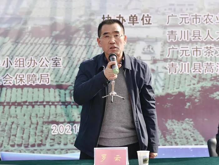 有关于广元市首届茶产业职业技能竞赛采茶与制茶比赛成功举办的新闻(10)