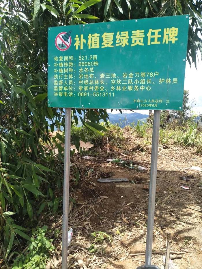 有关于勐海县打击种茶毁林行为 坚决守好绿色“家底”的热门信息