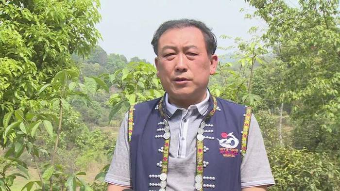 有关于墨江米地古树茶开采 拍卖所得28万元全部捐赠的最新信息(15)