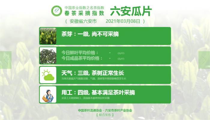 关于2021春茶采摘指数，湄潭翠芽进入三级的信息(8)