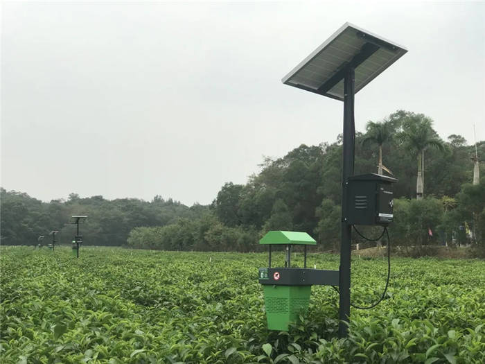 关于“数字化”已成年度高频词汇，茶产业如何乘势数字浪潮？的热门新闻(4)