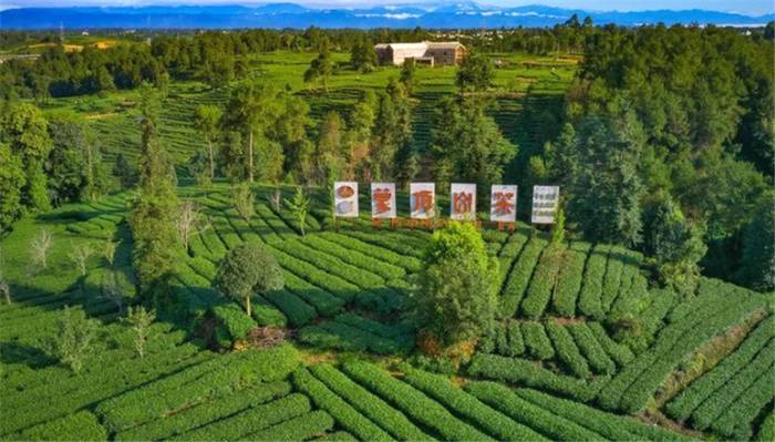 关于一周速读：2021全国春茶产销情况、凤庆35.6万亩茶园同步开采、蒙顶山茶价值40亿的最新资讯(7)