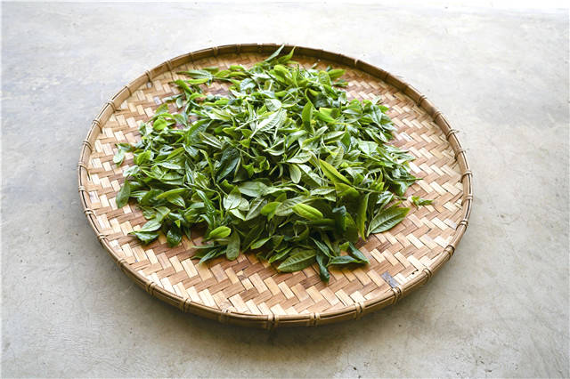 有关于华中科技大学 助力临翔茶产业高质量跨越发展的热门消息(1)