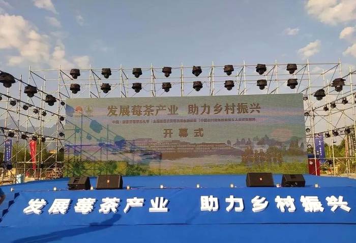 有关于中茶协支持张家界永定区以莓茶特色产业助力乡村振兴发展的资讯(3)