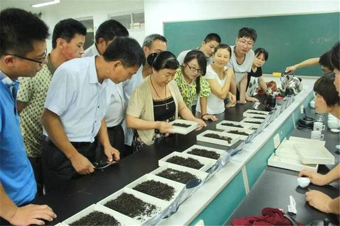 有关于山东农大茶叶研究团队荣获“全国巾帼文明岗”称号的最新信息(2)