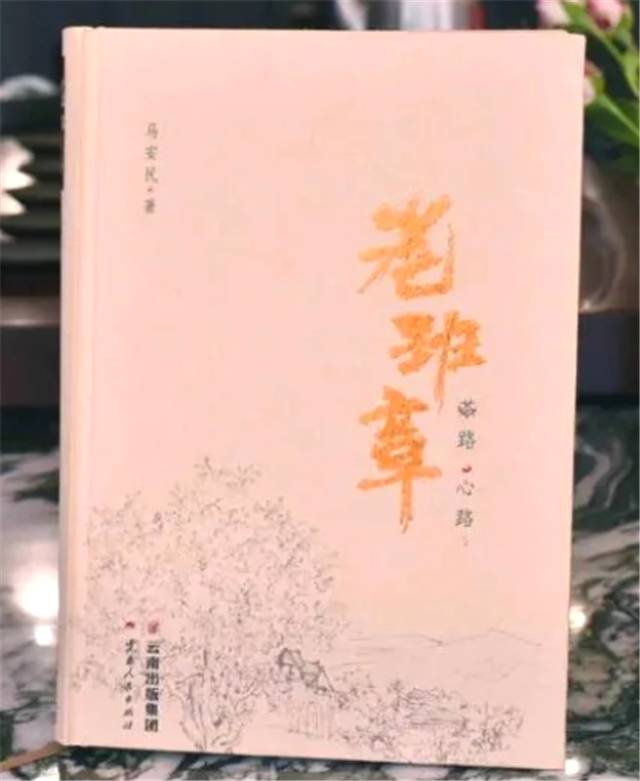 关于“2020茶媒推荐阅读十大茶书”榜单发布！的热门信息(12)