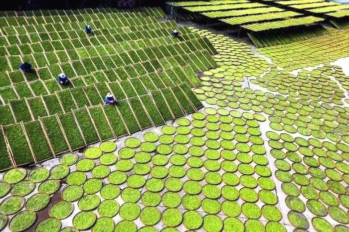 有关于福建省委书记尹力：茶叶是福建的一张名片的热门消息(20)