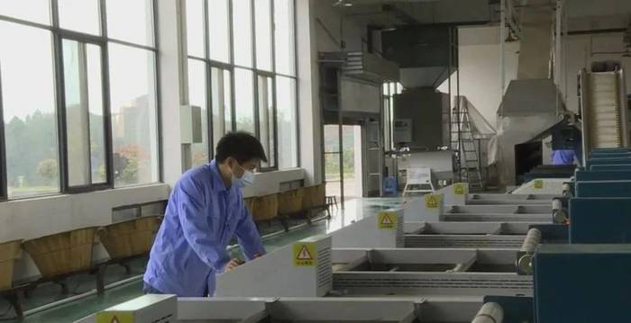 关于贵州多地春茶开采 茶农抢抓新春第一桶“金”的热门资讯(12)