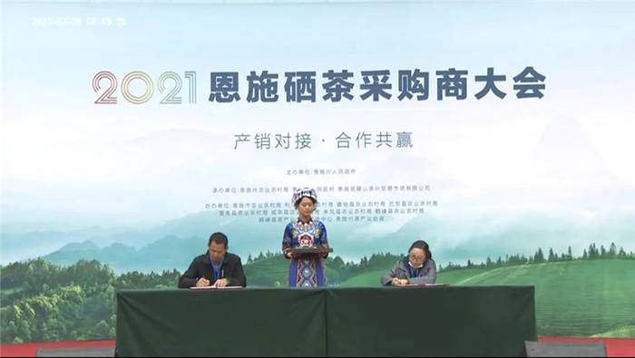 关于湖北：2021恩施硒茶采购商大会在恩施市硒茶小镇举行的热门新闻(13)