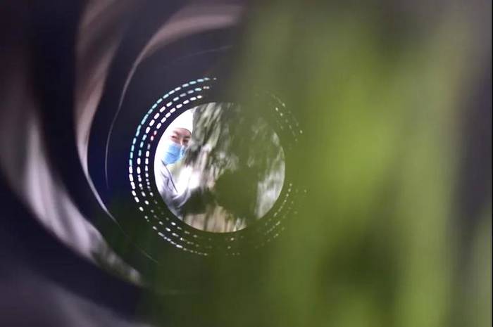 有关于人民网镜头下的贵州丹寨：茶产业融合发展助力乡村振兴的热门资讯(2)