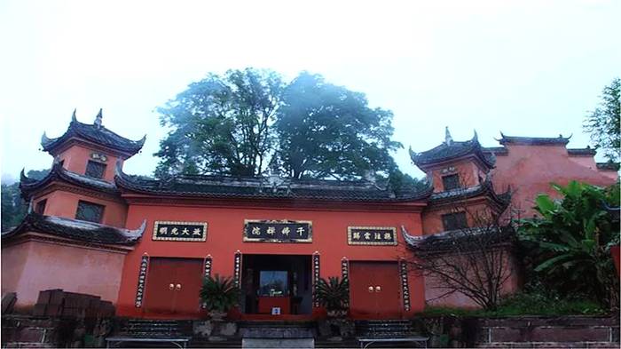 有关于蒙山茶传统制作技艺入选第五批国家级非物质文化遗产代表性项目名录推荐项目名单的热门资讯(22)