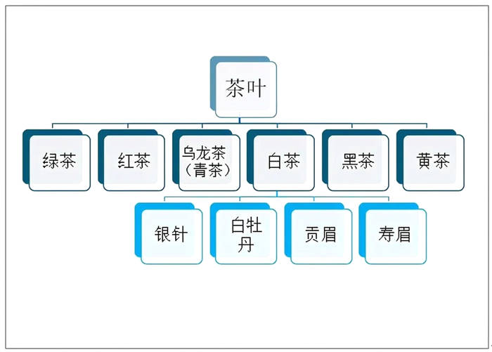 有关于2020年中国白茶产销现状：福鼎市是全国最大白茶生产基地之一的热门信息