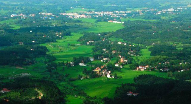 有关于上海茶博会 ：河南信阳以茶为媒链接世界的热门新闻