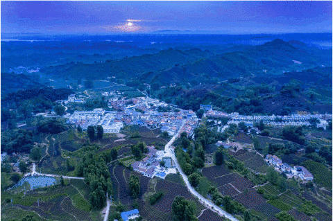 有关于上海茶博会 ：河南信阳以茶为媒链接世界的热门新闻(4)