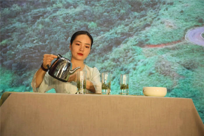 有关于“携茶白叶一号”联销首发助力“三省五县”乡村振兴的热门消息(18)