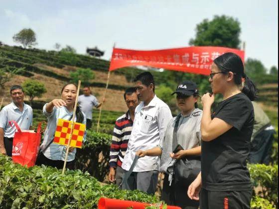 关于镇沅开展茶园绿色防控关键技术集成与示范培训的新闻