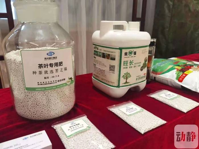 关于贵州磷化集团：2020全年销售茶叶专用肥1.53万吨 较前年增长3.5倍的热门资讯(1)