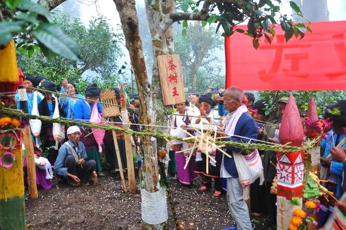 关于5.21国际饮茶日 走进茶企 走进茶山的消息(12)