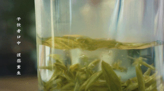 关于国内茶品牌 居深山，心自在——大佛龙井品牌创意解读的最新资讯(16)