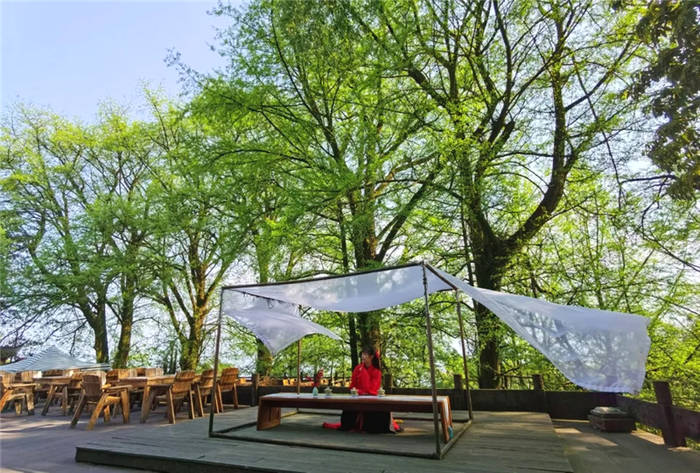 关于坐拥万亩茶田,来四川雅安解锁春日限定耍法的最新信息(16)