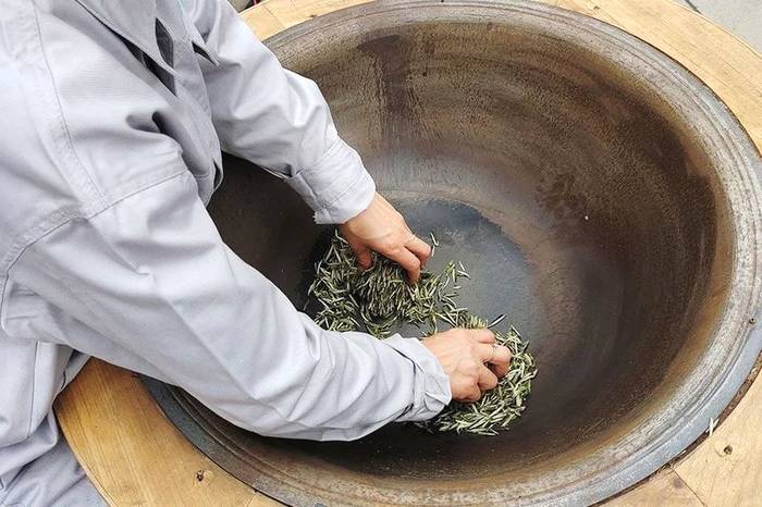 关于56000次采摘方得1斤!火出国门的三峡毛尖,天然清香!的最新资讯(17)