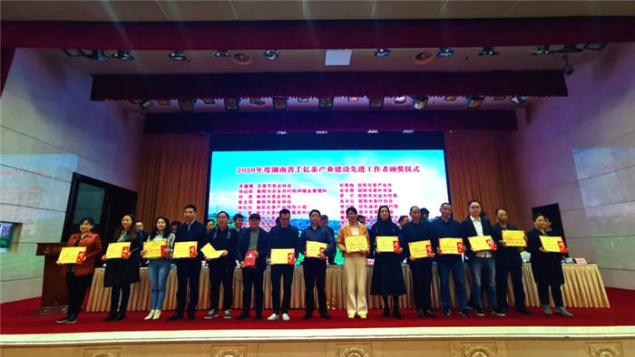 关于推动湘茶高质量发展 助力乡村振兴 湖南省茶叶行业工作会议召开的热门资讯(26)