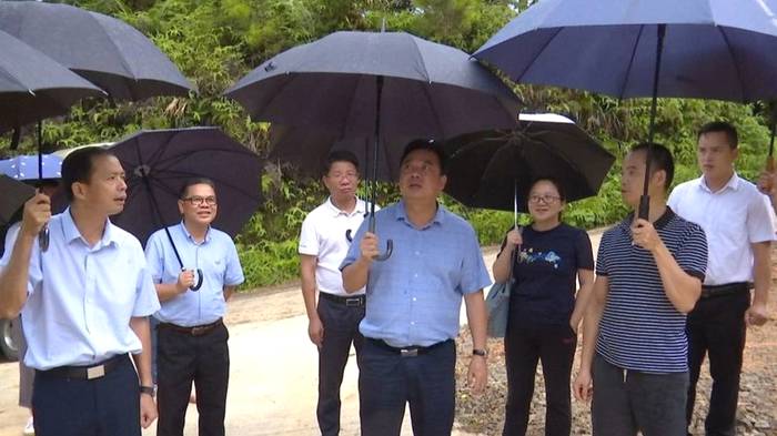 关于全面激发茶产业发展活力,市人大常委会调研组到苍梧县开展茶产业发展专题调研的最新信息