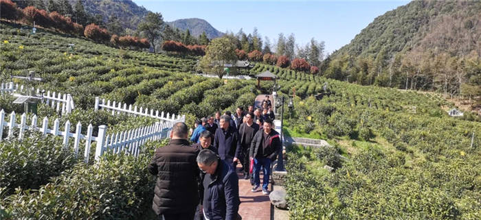 关于岳西县农业农村局副局长方再友一行赴泾县考察交流茶业发展的消息