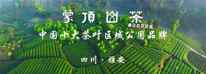 有关于精彩回顾！2020年“蒙顶山茶”十大新闻事件(上)的最新信息