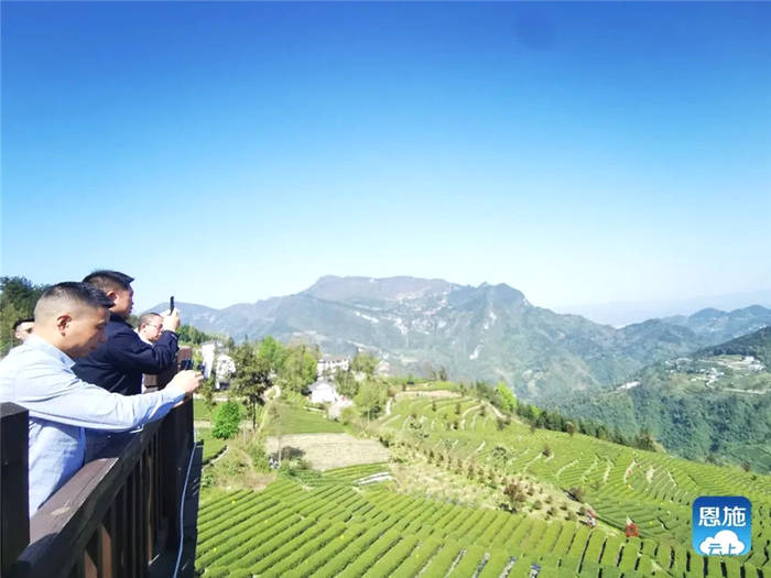 关于湖北：2021恩施硒茶采购商大会在恩施市硒茶小镇举行的热门新闻(17)