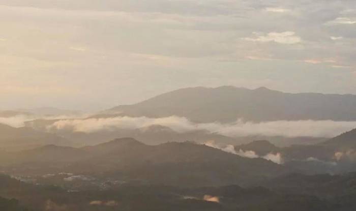 关于“绿水青山就是金山银山”发展理念 着力创建勐海县乡村振兴示范茶园的热门消息(16)