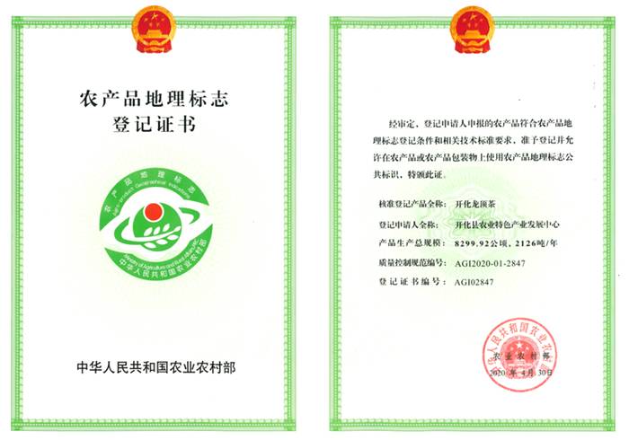 有关于开化龙顶茶：水中跳芭蕾，国家地理标志农产品的热门信息(14)