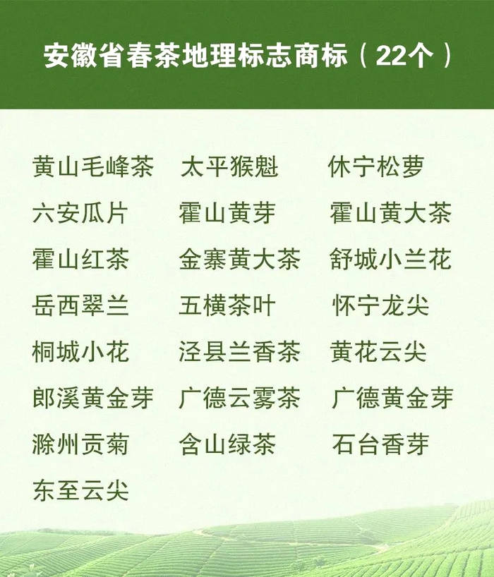 关于春茶地理标志保护专项行动开始！安徽这份“重点”名单来了的资讯(2)
