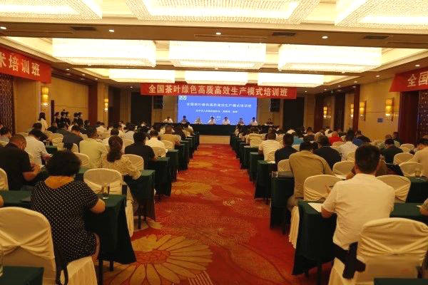 关于全国茶叶绿色高质高效生产模式培训班在汉中开班的新闻(4)