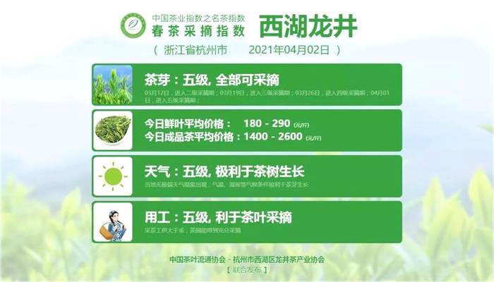 有关于六安瓜片开采啦，附其它知名茶叶的采摘指数的新闻(4)