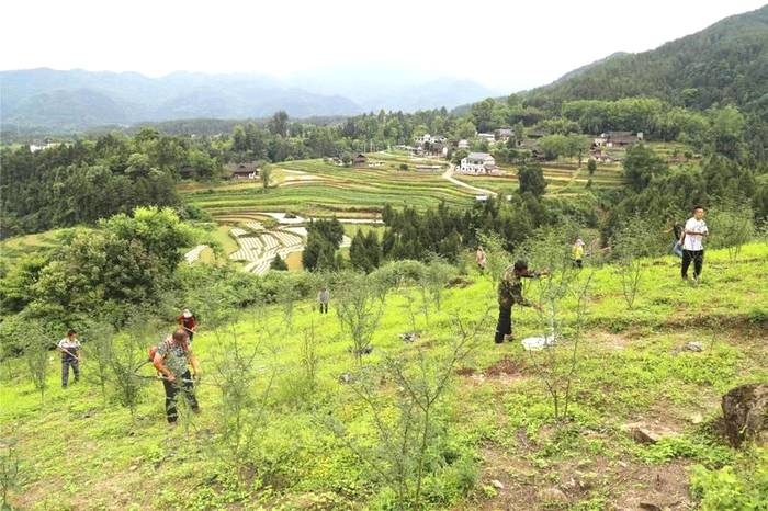 关于凤冈:在提升绿水青山颜值中做大金山银山价值的资讯(2)