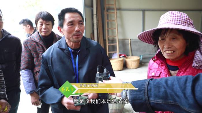 关于福鼎白茶大数据溯源平台正式运行，听听茶农茶企都是怎么说！的热门新闻(7)