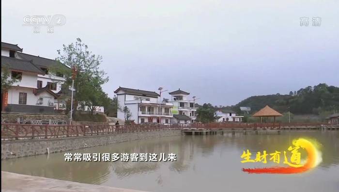 关于梧州市构建全产业链现代茶产业体系 推动六堡茶产业高质量发展的新闻(7)