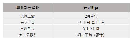 有关于2021年春茶已开采各名茶区绿茶采摘时间汇总的新闻(8)