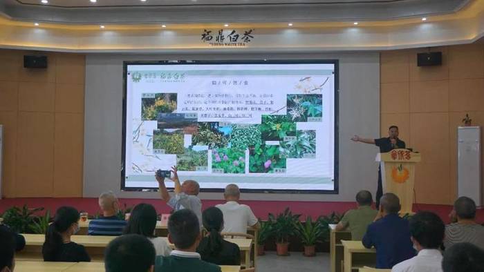 有关于硖门畲族乡：茶园统防统治基地化建设推进中的最新消息(4)