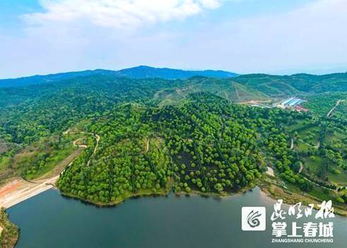 关于云南春茶逐渐上市！古树茶持续“发烧”有机茶渐行渐稳的热门消息(5)