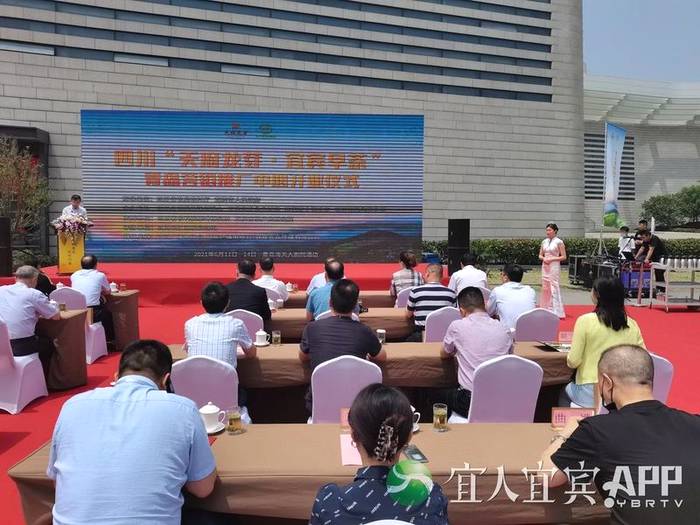 有关于宜宾茶： 趁势而为 变“原料出川”为“品牌出川”的信息