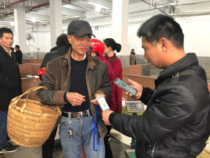 有关于福鼎白茶大数据溯源平台运行第一天!快来点头交易现场看看吧的最新资讯(1)