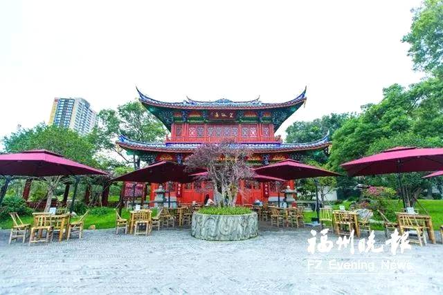 关于福州15个大众茶馆6月底全面开放,其中9个设在公园里的消息