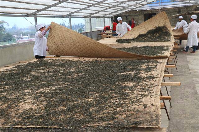 关于200万吨库存茶根本喝不完!谁能引领中国茶叶第三次产业革命?的消息(10)