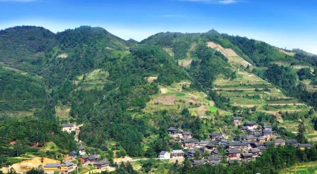 关于雷山县望丰乡三角田村，依托生态好茶 谋划乡村旅游的最新信息(2)