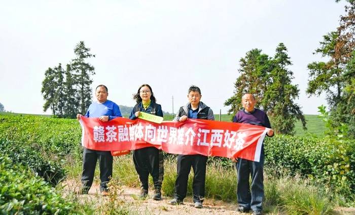关于带你寻遍江西好茶，赣茶 · 年终回顾系列之一 · 寻茶记的新闻(23)
