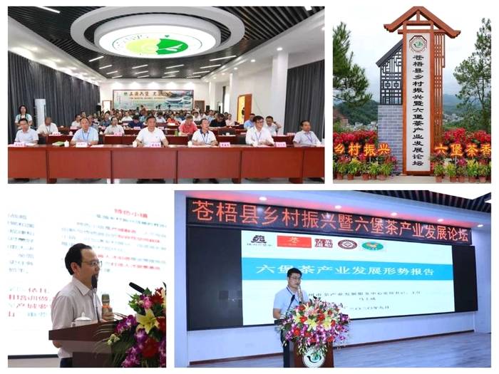 关于2020下半年六堡茶产业持续发力，这些热点你都关注了吗？的热门资讯(5)