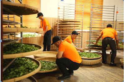 关于新华每日电讯：百年“坦洋工夫”，富民再显“功夫”的热门消息(1)