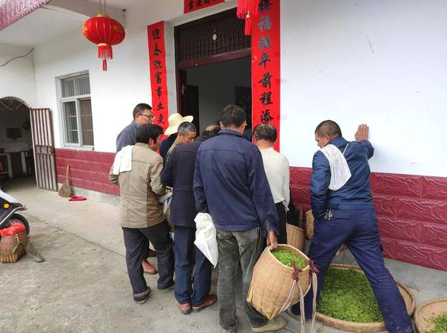 关于霍山区霍山黄芽开始大量上市 茶农卖茶终于出现人挤人的场面的消息(1)